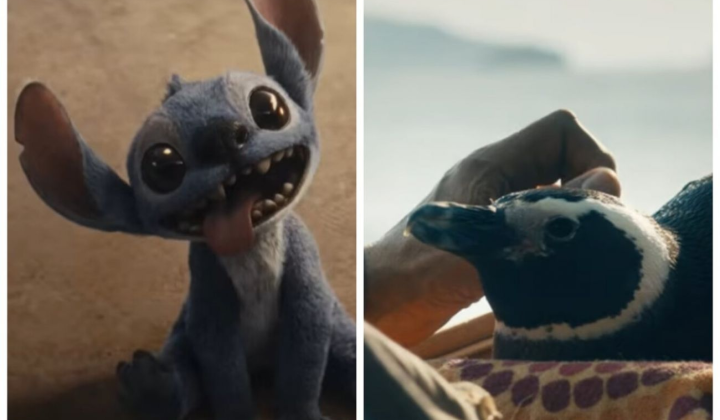 Paddington's return and new Stitch: main films 2024-2025