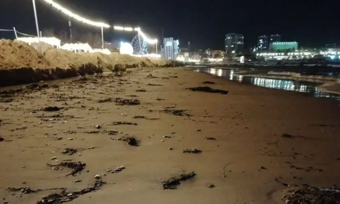 Мазут з тонуть російських танкерів на пляжу