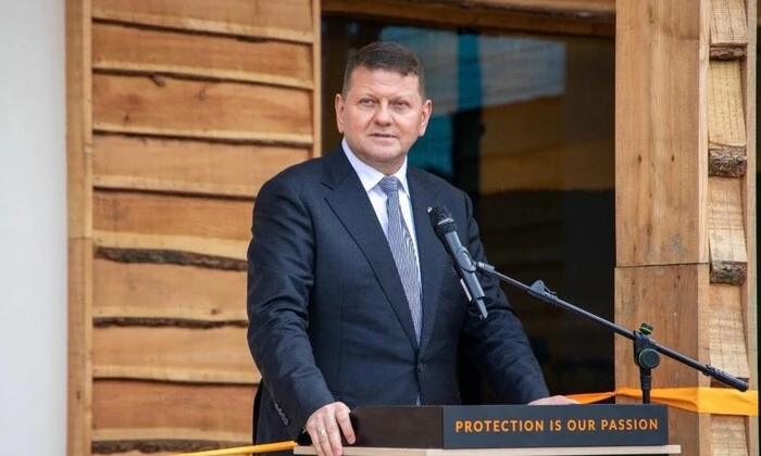 Пріоритети перемоги України від Залужного