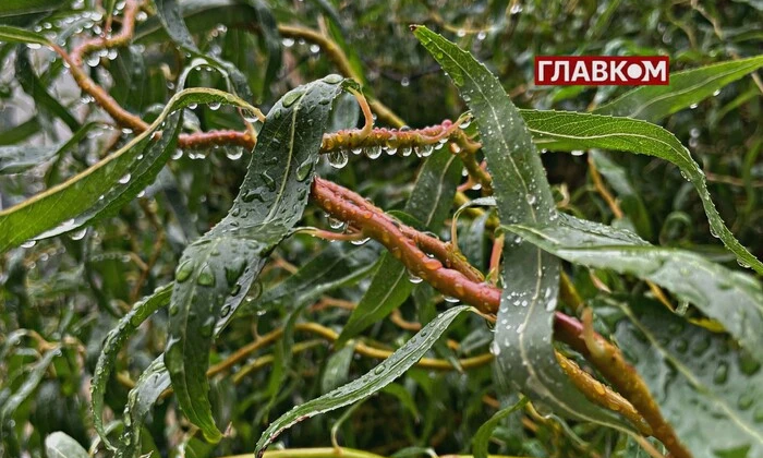 Погода на Покрову в Украине