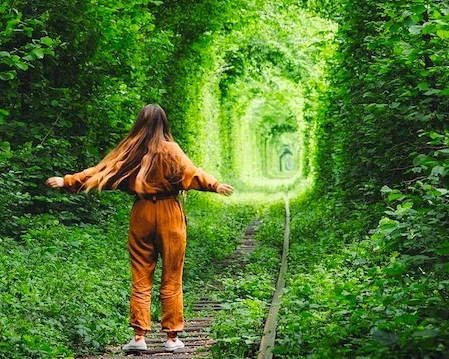 Чудові пейзажі весняної України