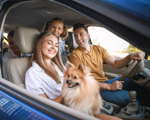 Женщина на горной тропе среди ветвей