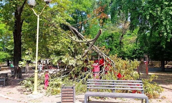 В Одессе буревей повалил более 70 деревьев (фото)