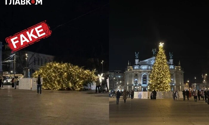 Власть Львова реагирует на падение елки