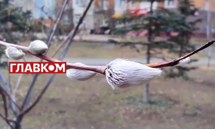 Зимний пейзаж с Украиной до -6°