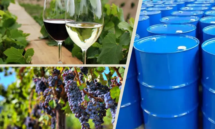 Зображення: Повідомлення з пляшки. Виноградні лози в Європі