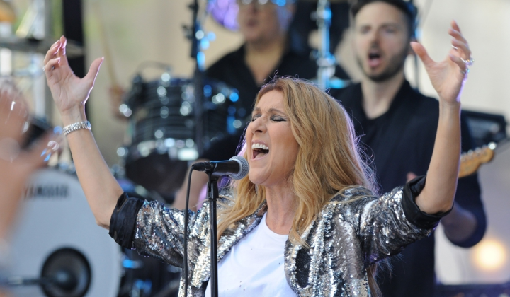 Barbie doll in Celine Dion's outfit