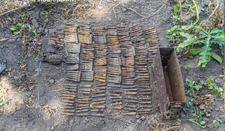Sappers destroy arsenal of World War II