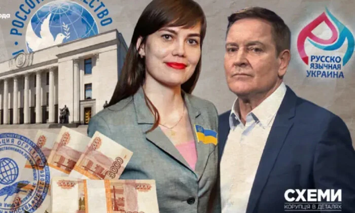 Check of the Rada's consultant