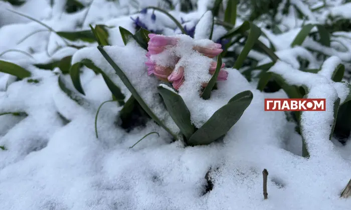Снежная зима среди весны: Украина засыпалась