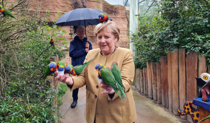 Зображення Ангели Меркель з папугами