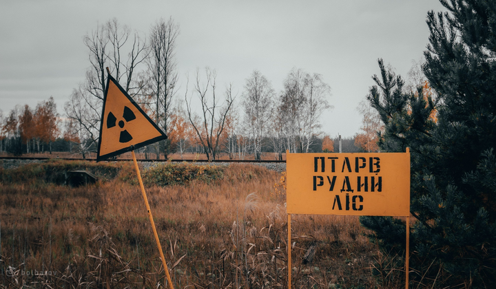 Оккупанты в Рудом лесу