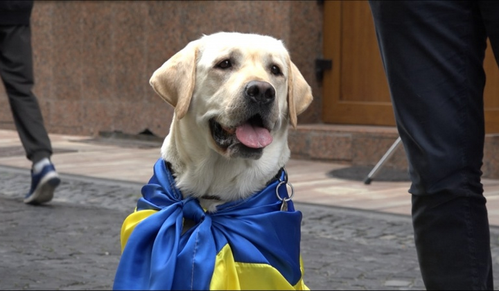 Принц Паша збирає гроші на ЗСУ