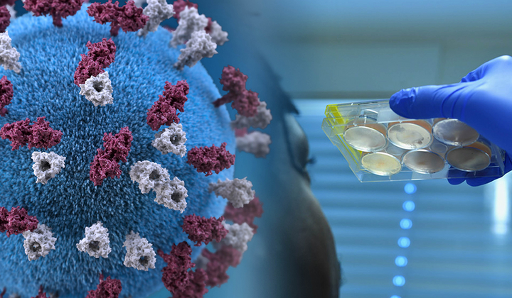 Снижение числа заболевших коронавирусом