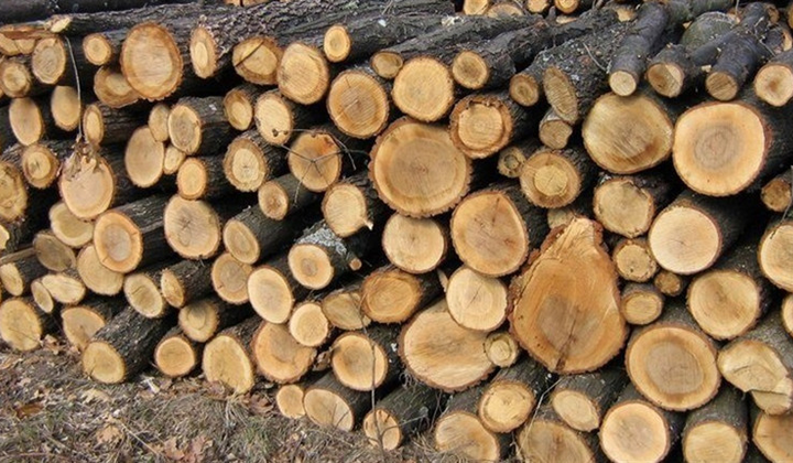 Человек с дровами в руках