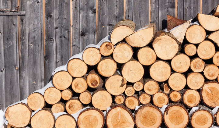 Людей стоять возле дров на вулиці