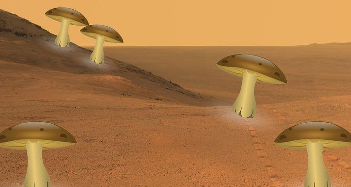 Дома из грибов на Марсе