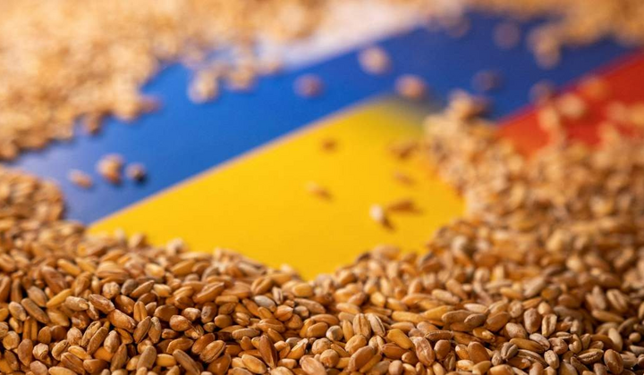Что будет с импортом зерна в ЕС?