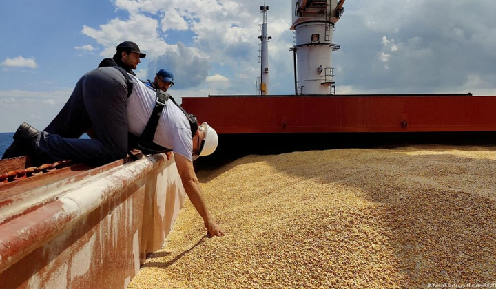 Построены новые экспортные маршруты зерна