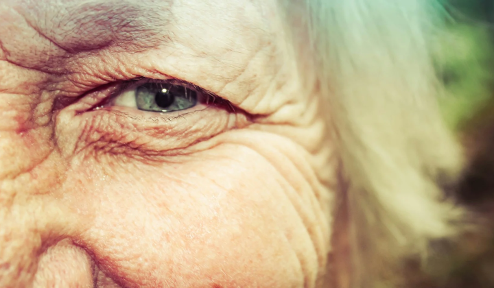 Research on immune system aging