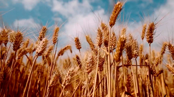 россияне воспользовались курсом гривны