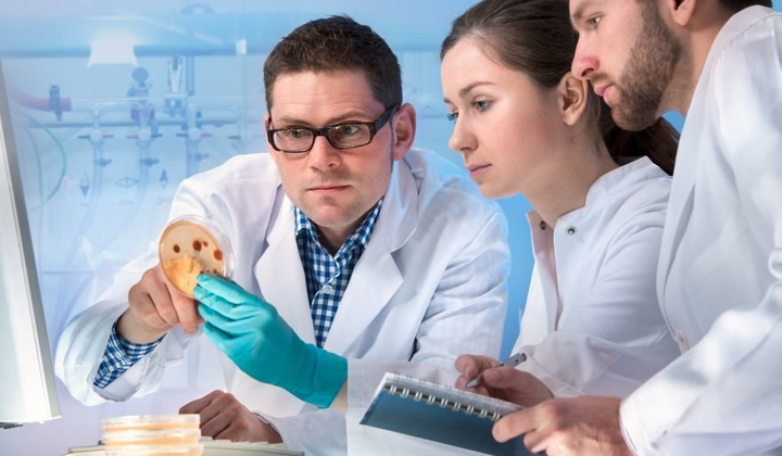 Швидкий пошук роботи в Франції