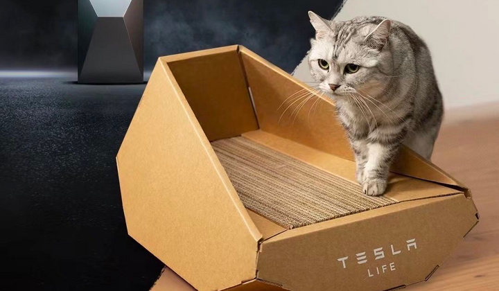 Фото товаров для кошек от Tesla
