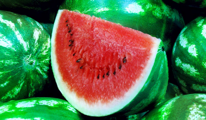 Небезпечні кавуни: причина чоловічої імпотенції