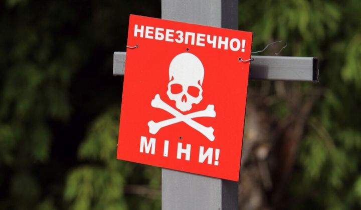 Украина - лидер по количеству мин