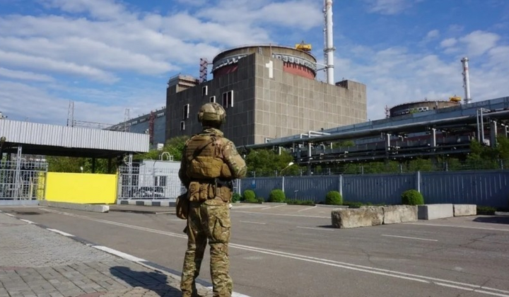 Изображение расходов в системе Prozorro