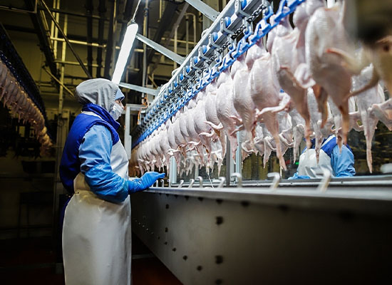 Топ сайтів для пошуку роботи