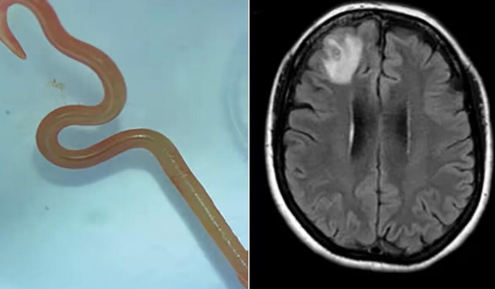 Визитная карточка Австралии: новые туристические приключения