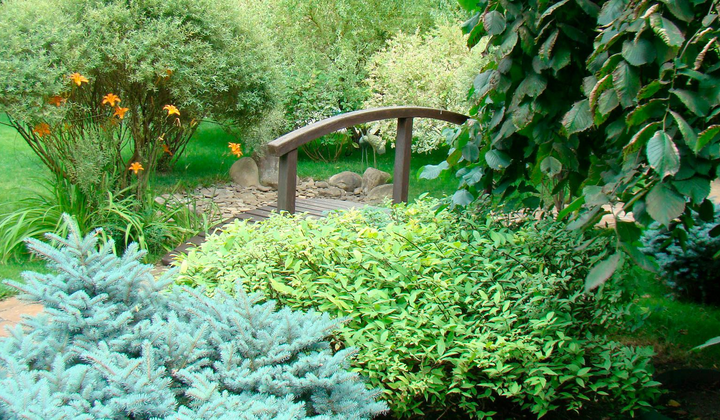 Закупки военных, шокирующие данные Prozorro