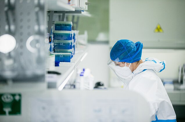 Картинка коронавируса под микроскопом