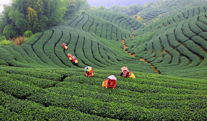 Топ сайтів пошуку роботи в Тайвані