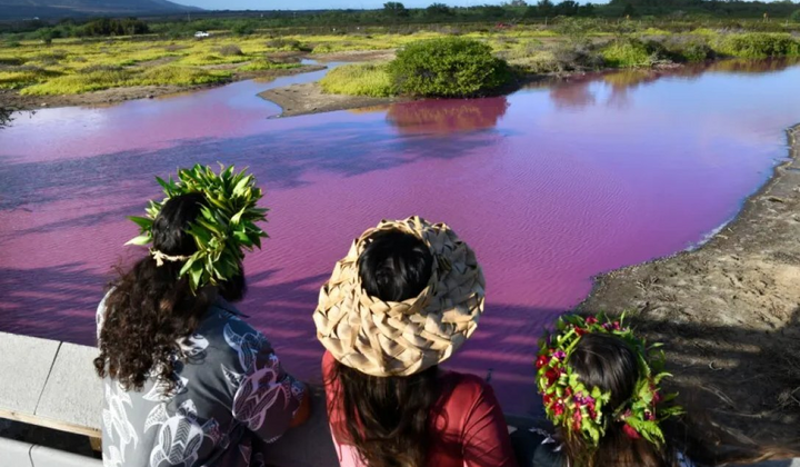 Вода на Гаваях стала красной