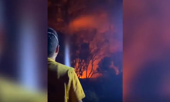 Пожежа в Туреччині, жертви та руйнування