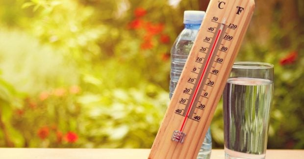 Погода до +38° на неделю