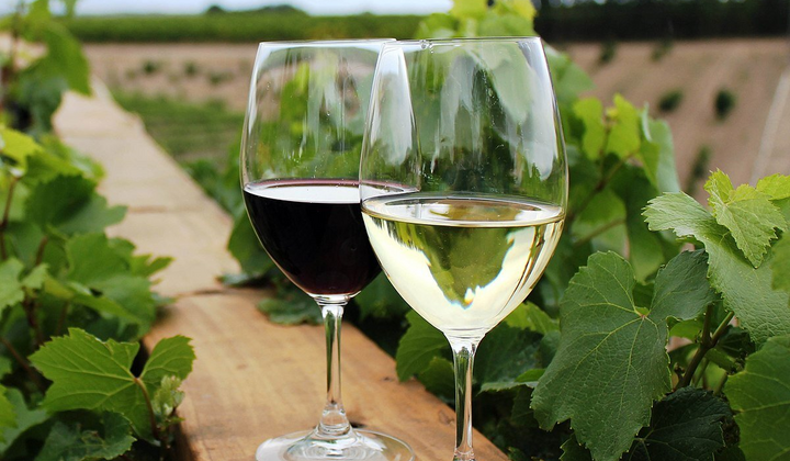 Ученые установили новую норму употребления алкоголя