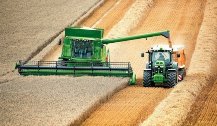 Основные продукты украинского аграрного рынка. Что мы выращиваем и почему это важно?