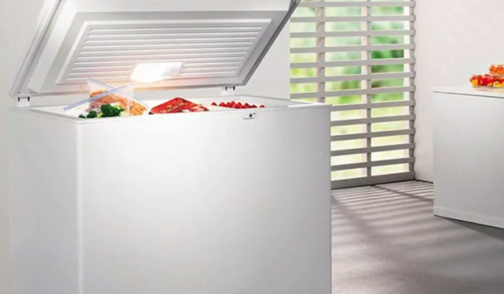 Home Freezer: An Incredibly Simple Solution to Many Food Storage Problems