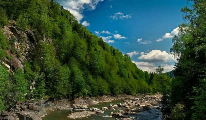 Зимові краєвиди Яремче