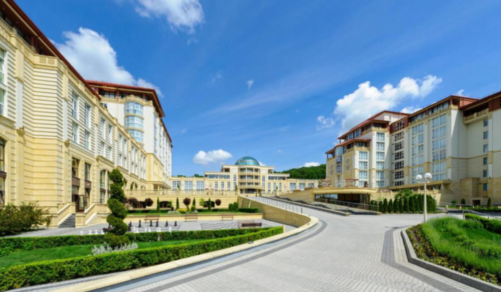 Conference Service: Why Is It Needed and How to Choose It?