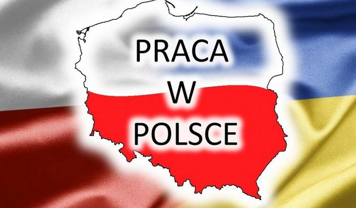 Середня зарплата в Польщі: у доларах, євро та злотих