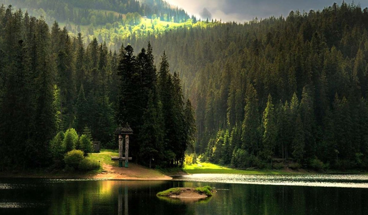 Гурман у Карпатах: що й де скуштувати обов'язково