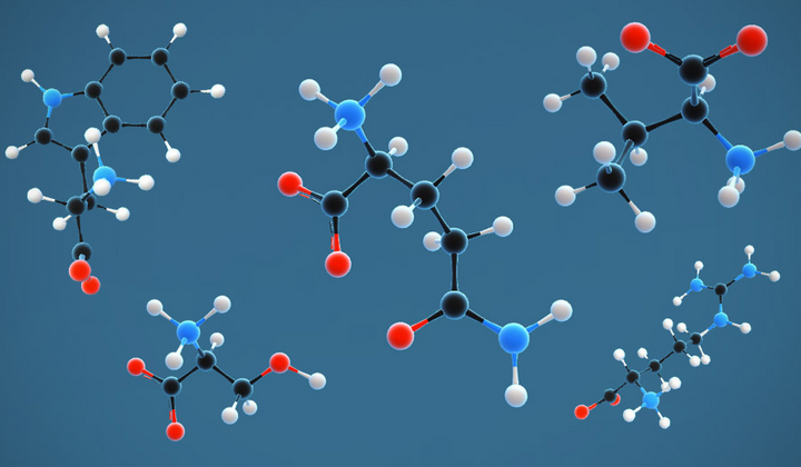 Топ аминокислот для улучшения сна, настроения и энергии