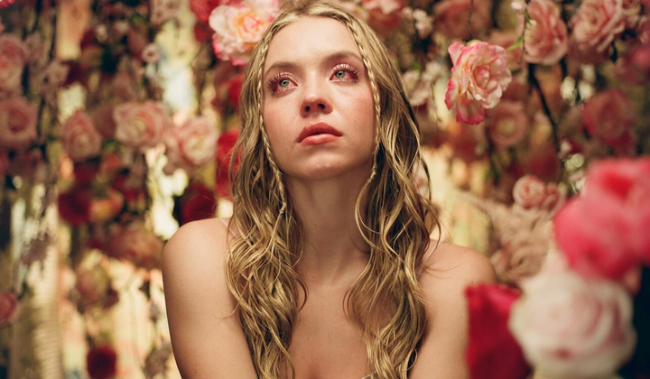 Актори серіалу Ейфорія — головний склад та ролі у відомому шоу