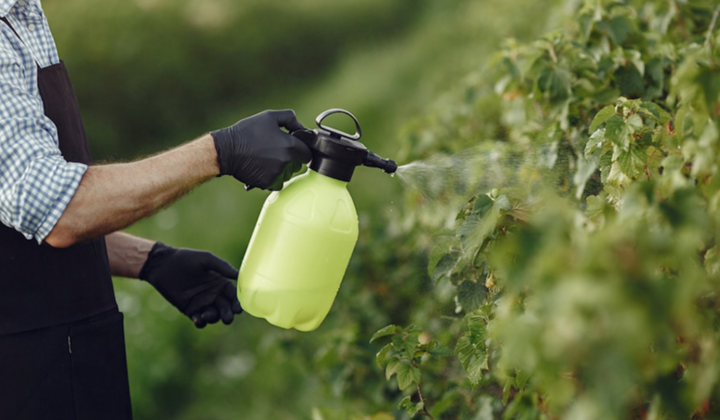 Як правильно вибрати захист для рослин: кілька важливих нюансів 