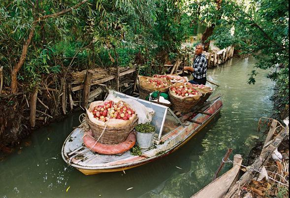 Вилкове – українська Венеція в Одеській області, відпочинок та цікаві факти