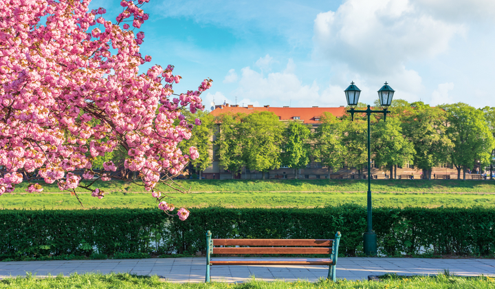 Ужгород — цікаві, визначні, туристичні та гарні